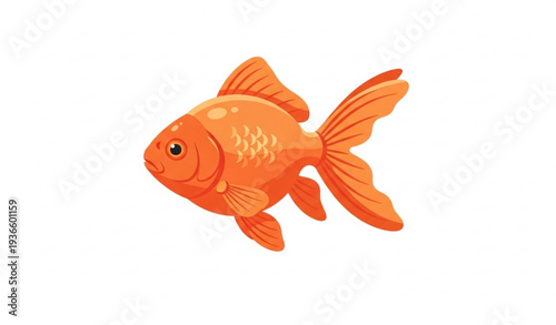 Orange Goldfish Flat Vector Illustration Freshwater Fish Isolated on White Background