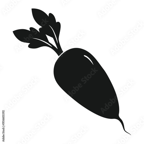 daikon radish silhouette vector isolated