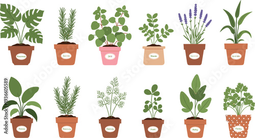 Indoor potted houseplants collection flat vector illustration with tropical foliage herbs and decorative green plants in pots