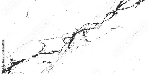 Black and white paint texture with ink splashes creating a fresh motion of liquid droplets and clean flowing waves of purity