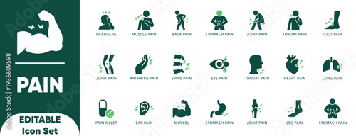 Body pain icon Solid set for backache, headache, kidney, injury, joint, muscle, teeth, ear, and Solid vector. 