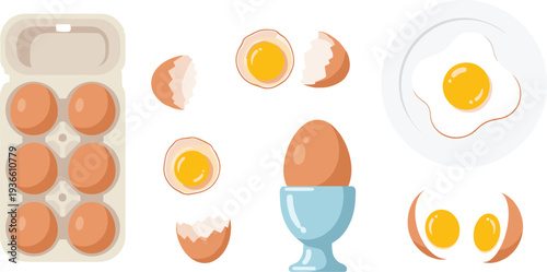 Chicken eggs collection whole cracked boiled and fried egg food vector illustration set