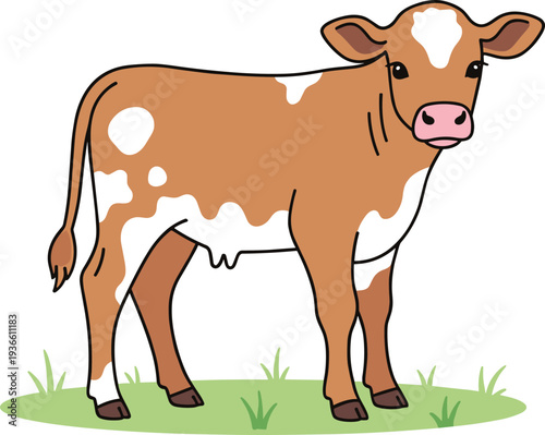 Brown and white cow farm animal standing on grass domestic livestock vector illustration