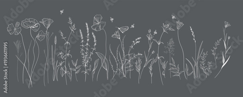 Field flowers and grasses, line drawing. Vector illustration