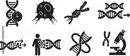 Black Solid Longevity Genetic Silhouettes Set of Six on White Background