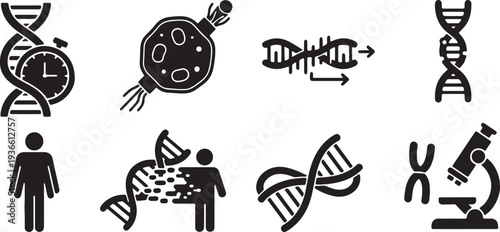 Black Solid Longevity Genetic Silhouettes Set of Six on White Background