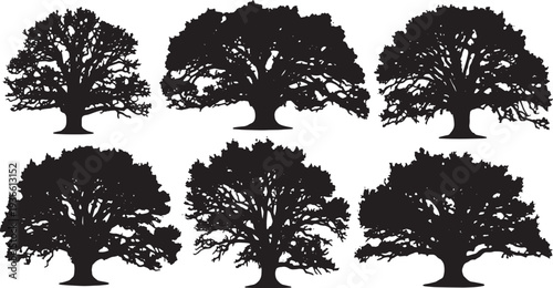 Black Solid Ancient Spreading Oak Tree Silhouettes Set of Six