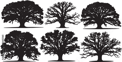 Black Solid Ancient Spreading Oak Tree Silhouettes Set of Six