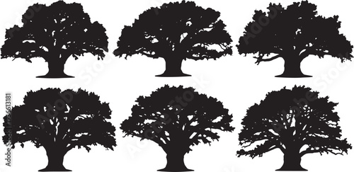 Black Solid Ancient Spreading Oak Tree Silhouettes Set of Six