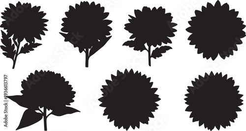 Black Solid Autumn Flower Silhouettes Set of Six on White Background