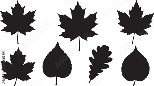 Black Solid Autumn Foliage Silhouettes Set of Six on White Background