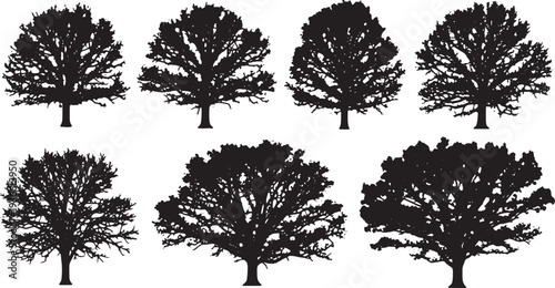 Black Solid Autumn Oak Tree Silhouettes Set of Six