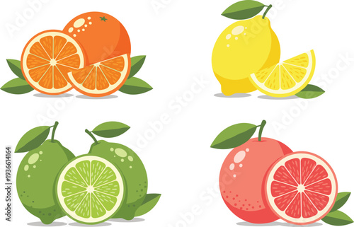 Citrus fruits collection with orange lemon lime and grapefruit fresh food flat vector illustration set