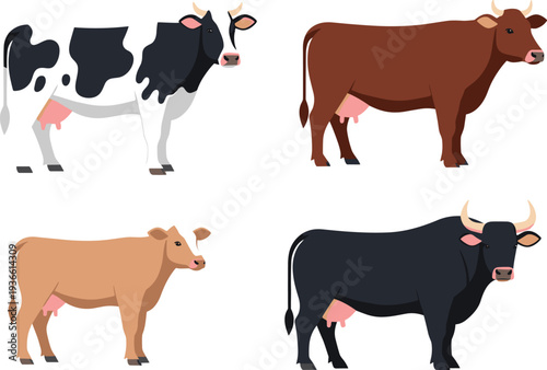 Cow and bull farm cattle livestock animals collection agriculture flat vector illustration set