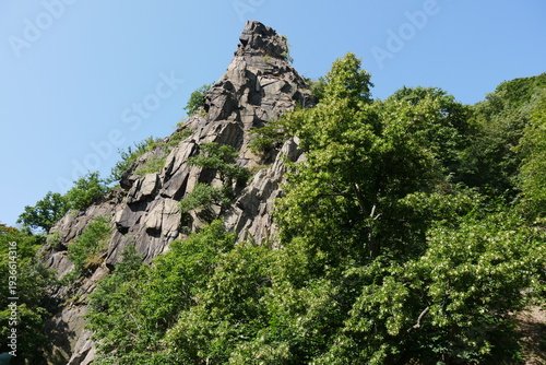 Wald und Fels im Bodetal im Harz bei Thale