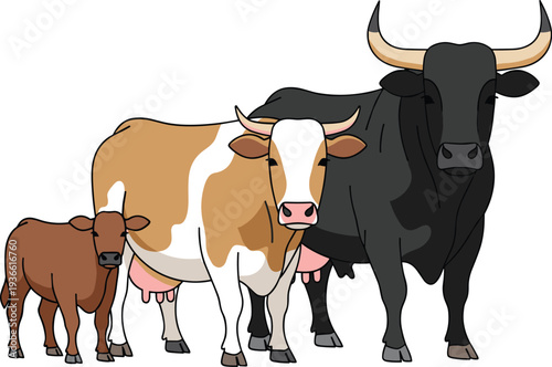 Farm cattle collection with cow bull and calf domestic livestock animals flat vector illustration set