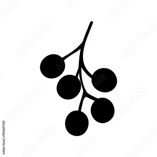 Simple black and white vector illustration of a bunch of berries or grapes