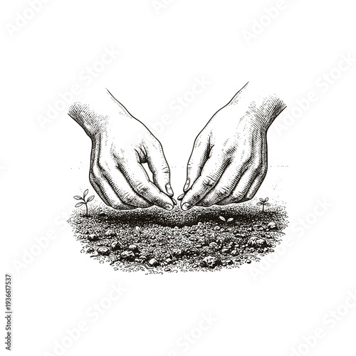 Vintage engraving style illustration of human hands planting seeds into fertile soil with small sprouts.