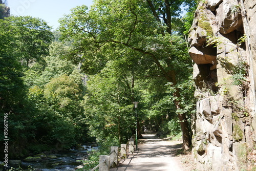 Wanderweg zwischen Fels und Fluss im Bodetal an der Bode im Harz