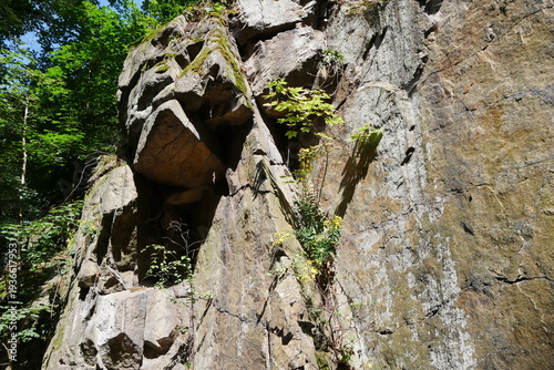 Felsformation im Bodetal im Harz bei Thale