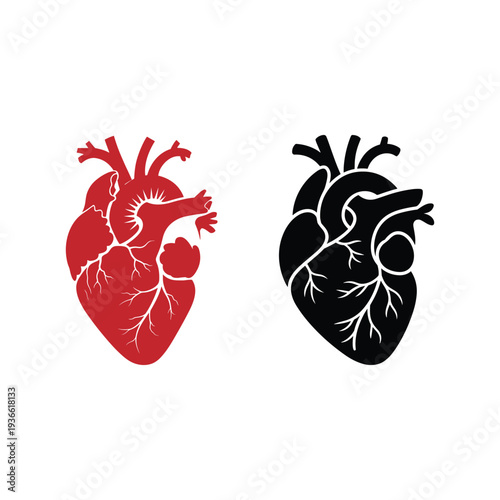 Human Heart Anatomy Vector Illustration – Red and Black Anatomical Heart Icons Set