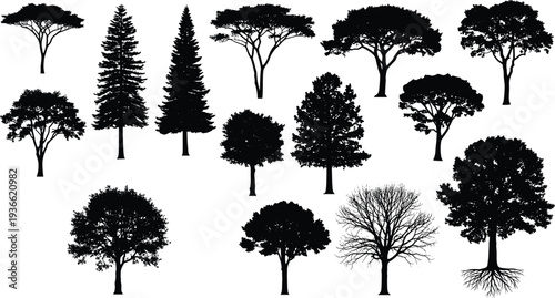 Seventeen diverse tree silhouette icons, black vector foliage patterns, leafless branches, conical and rounded canopy shapes, botanical diversity illustration graphics