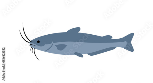 Gray Catfish Illustration Isolated.