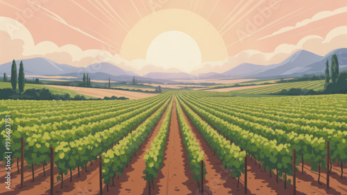 Vineyard landscape with lush green grapevines and rolling hills under a warm sunny sky with soft peach clouds
