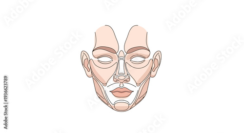 Human Face Anatomy Diagram.