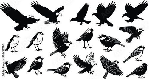 Silhouettes of birds in flight and perched, diverse avian poses with wings spread and standing, wildlife illustration for nature design references