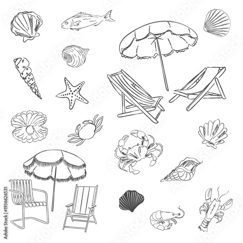 Mediterranean Beach Elements Set – Vintage Sea Life and Coastal Summer Illustration for Wedding, Save the Date Card Template