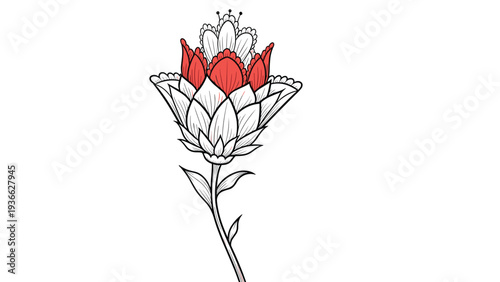 Detailed hand-drawn illustration of a single exotic flower bud with red and white petals and intricate patterns on a long thin stem.