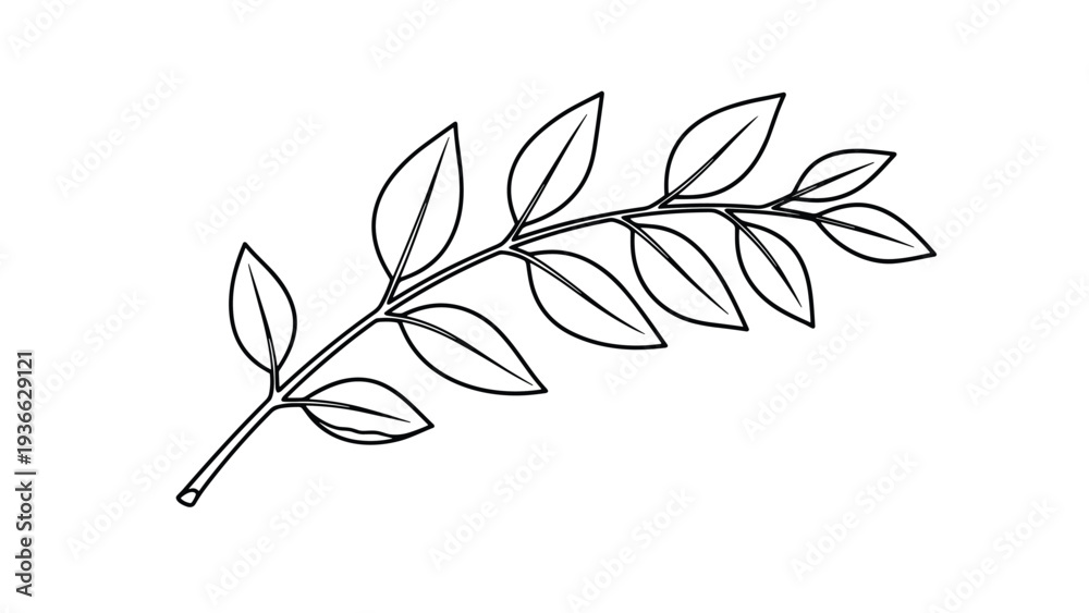 Fototapeta premium Simple black outline drawing of a leafy branch with multiple oval leaves on a plain white background for botanical design elements.