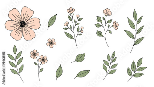 Elegant set of hand drawn loose flowers and green leaves in soft peach and olive tones perfect for wedding stationery and feminine branding.