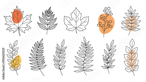 Artistic collection of diverse leaf and berry sketches with minimalist orange and yellow accent shapes for a modern autumnal or organic feel.