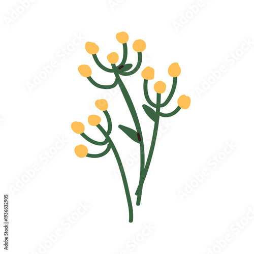 Spring floral branches. Yellow mimosa flowers, delicate gentle sprigs. Botani...