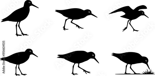 sandpiper silhouette line art vector illustration with a white background