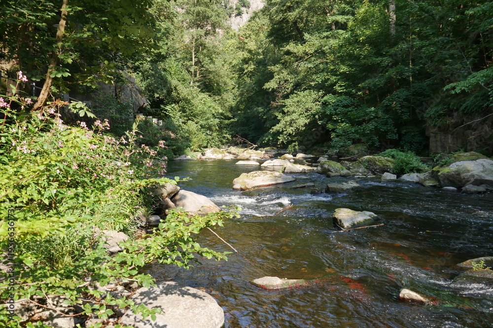 Naklejka premium Fluss Bode mit Steinen und Fels im Bodetal bei Thale im Harz