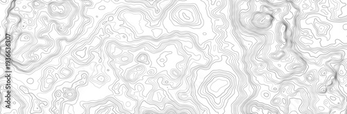 Topographic map. Geographic contour map background with elevation lines. Detailed terrain visualization concept. Vector illustration of landscape elevations and natural relief.