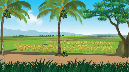 Rural Landscape with Green Rice Fields and Coconut Trees