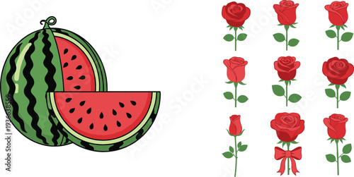 Watermelon fruit and red rose flower vector collection summer food slice and romantic floral elements illustration set