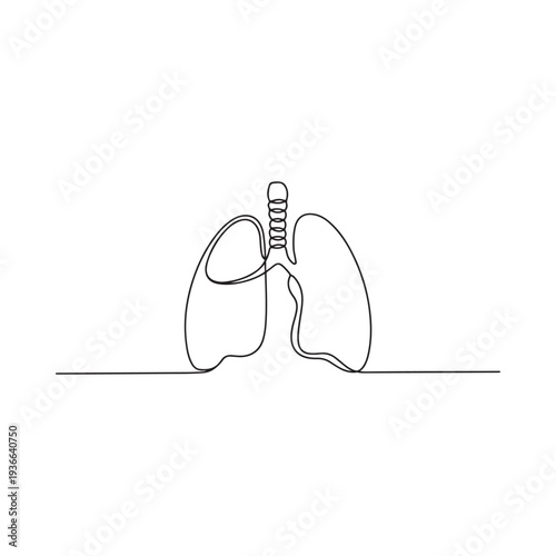 Minimalist one line drawing of human lungs representing respiratory system anatomy