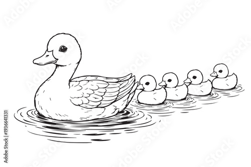 Simple vector illustration of a mother duck swimming in a pond with three ducklings following closely behind in a calm and charming nature scene.