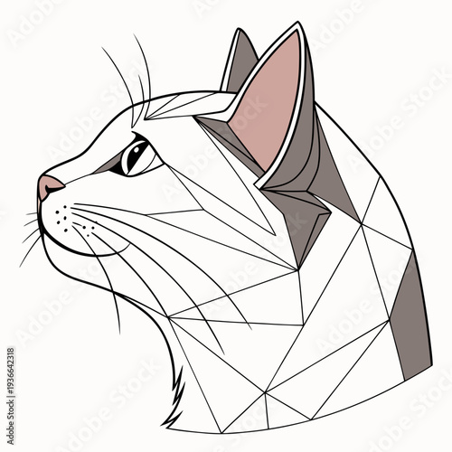 Geometric Cat Head Symmetry