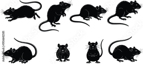 Set of black rat silhouettes in different poses isolated on white background vector illustration for pest control and wildlife design