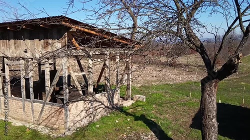 Old rustic wooden farm building and leafless tree in peaceful rural countryside landscape