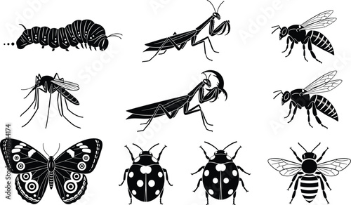 Set of black insect silhouettes including butterfly, honey bee, ladybug, praying mantis, caterpillar, and mosquito for nature and biology design concepts.