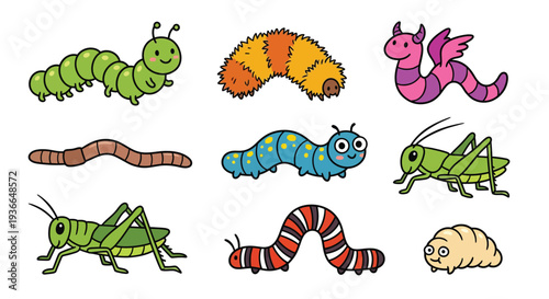 Colorful cartoon illustration of various insects and crawling creatures