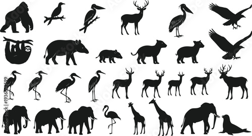 Wild animal silhouettes including gorilla, sloth, tapir, deer, birds, elephants, giraffes, seal, biodiversity, jungle, savannah, aquatic habitats illustration