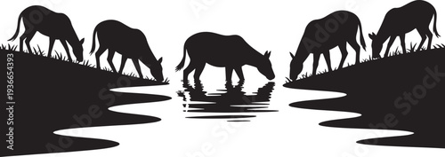 Wild donkeys drinking from river in silhouette landscape graphic for nature conservation